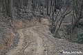 VBS_8108