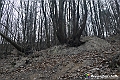 VBS_8110