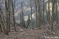VBS_8130
