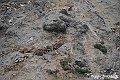 VBS_8137