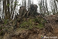VBS_8141