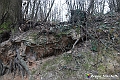 VBS_8142