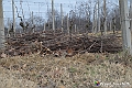 VBS_8149
