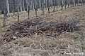 VBS_8151