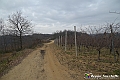 VBS_8152