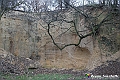 VBS_8163