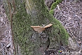 VBS_8167