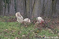 VBS_8169
