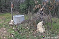 VBS_8170