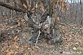 VBS_8183