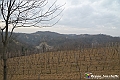 VBS_8194