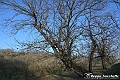 VBS_8220