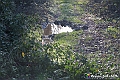 VBS_8224
