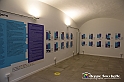 VBS_3950
