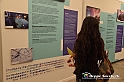 VBS_3988
