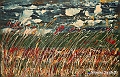 VBS_4045