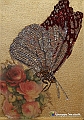 VBS_4255