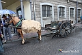IMG_7189