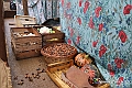 IMG_7237