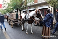 IMG_7387
