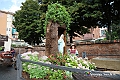 IMG_7421