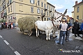 IMG_7460