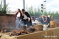 IMG_7465