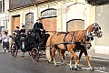 IMG_7643