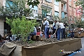 IMG_7920
