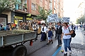 IMG_7990