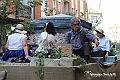 IMG_8007