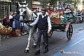 IMG_8142