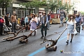 IMG_8214