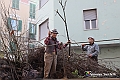 IMG_8358