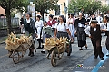 IMG_8380
