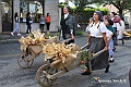 IMG_8381