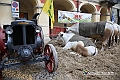 VBS_0259