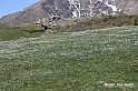 VBS_8665