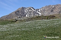 VBS_8666
