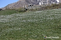 VBS_8669