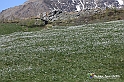 VBS_8670