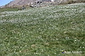 VBS_8673