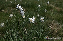 VBS_8676