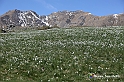 VBS_8678