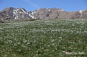 VBS_8679