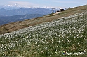 VBS_8685