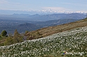VBS_8687