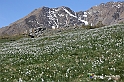 VBS_8688