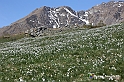 VBS_8689