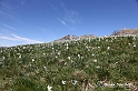 VBS_8690
